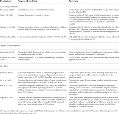 System dynamics modeling for traumatic brain injury: Mini-review of applications